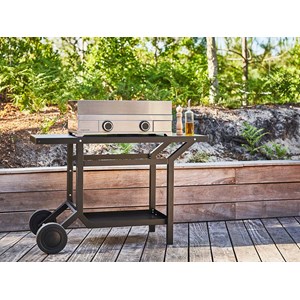 Plancha à gaz modern 60 en inox - forge adour