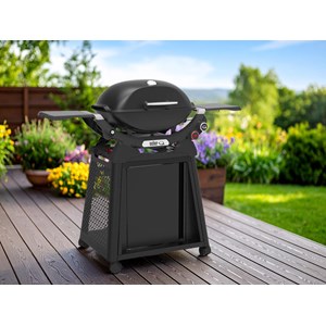 Barbecue à gaz q 2800n+ chariot noir - weber