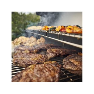 Barbecue à pellets searwood xl 600 + kit de fumage + housse + rôtissoire - weber