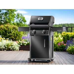 Barbecue à gaz rogue 365 rsib 2 brûleurs - napoléon