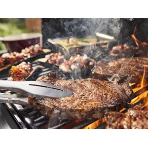 Barbecue à gaz genesis e-415 - weber