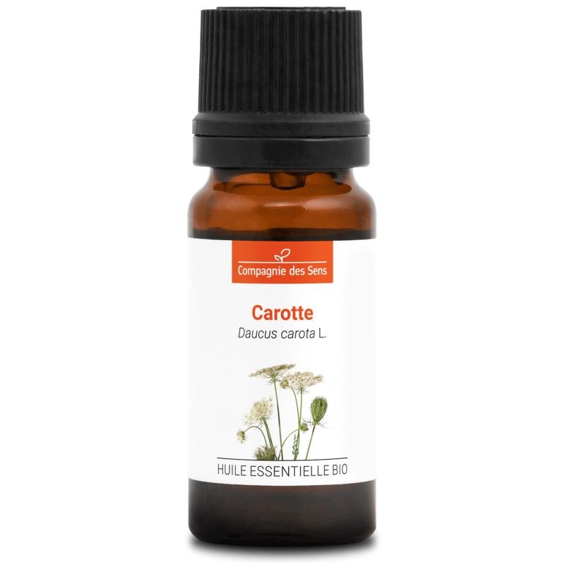 Carotte semences - huile essentielle bio - 10ml garantie chromacert® - chémotypé