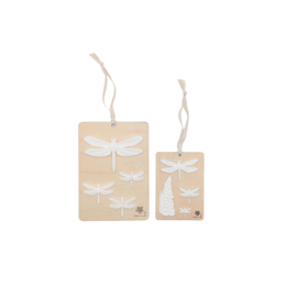 Le duo de curiosité - libellule