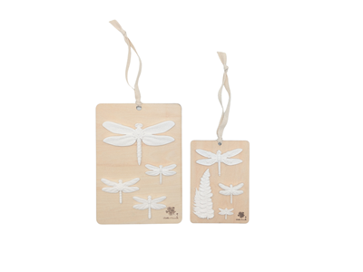 Le duo de curiosité - libellule