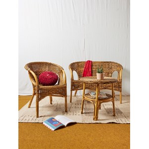 Ensemble de jardin en osier n°224