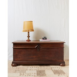 Coffre de famille en noyer du xviième n°110