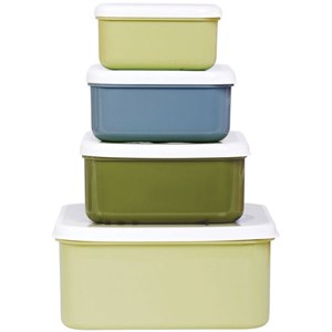 Lot de 4 boîtes à goûter dinosaure