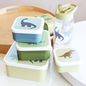 Lot de 4 boîtes à goûter dinosaure