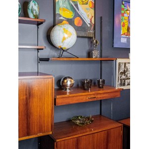 Bibliothèque murale modulable en palissandre n°111