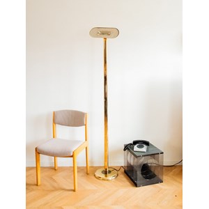 Julien, le grand lampadaire doré n°292