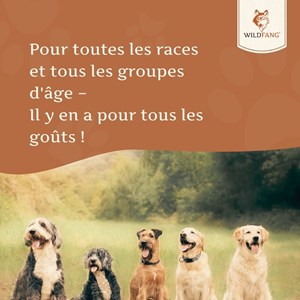 Wildfang huile de saumon 250 g — complément d'oméga pour chiens