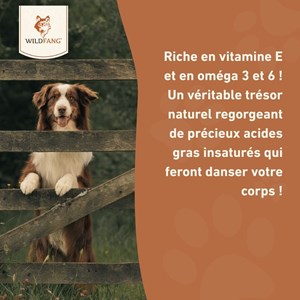 Wildfang huile de saumon 250 g — complément d'oméga pour chiens