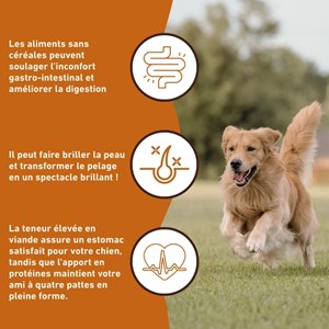 Wildfang® adult nourriture sèche au bœuf angus - sans céréales - 6 kg