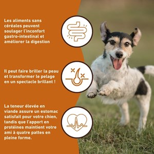 Wildfang® canard à la patate douce et à l'orange - sans céréales - 6 kg