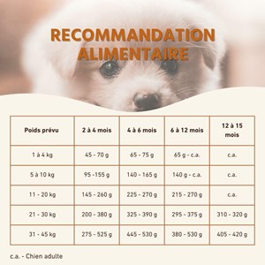 Wildfang® croquettes junior au poulet pour chiots - sans céréales - 2 kg