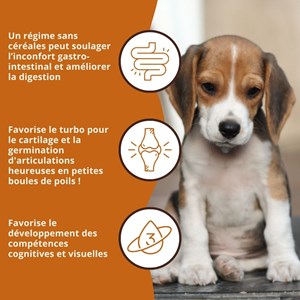 Wildfang® croquettes junior au poulet pour chiots - sans céréales - 6 kg