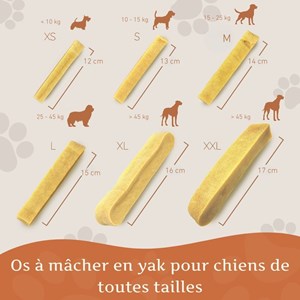 Wildfang® fromage à mâcher - bâton à mâcher au fromage à pâte dure - 3 x m