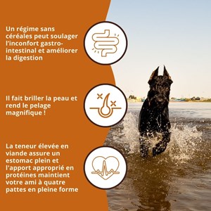 Wildfang® maxi adult croquettes au saumon et à la truite – sans céréales - 6 kg