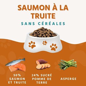 Wildfang® maxi adult croquettes au saumon et à la truite – sans céréales-2x6kg