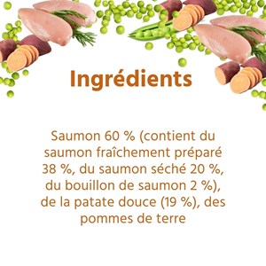 Wildfang® croquettes junior au saumon pour chiots - sans céréales - 2 kg
