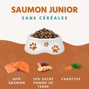 Wildfang® croquettes junior au saumon pour chiots - sans céréales - 2 x 2 kg