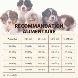 Wildfang® croquettes junior au saumon pour chiots - sans céréales - 2 x 2 kg