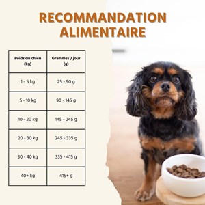 Wildfang® croquettes adultes à l'agneau - sans céréales - 6 kg