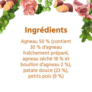 Wildfang® croquettes adultes à l'agneau - sans céréales - 2 x 6 kg