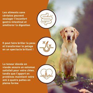 Wildfang® croquettes adultes à l'agneau - sans céréales - 2 x 6 kg