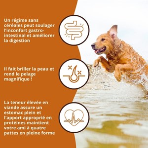 Wildfang croquettes adultes au thon - sans céréales - 6 kg