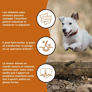 Wildfang croquettes adultes au gibier - sans céréales - 6 kg