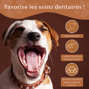 Wildfang - bâton à mâcher en bois de caféier à l'huile de saumon - 1 x l