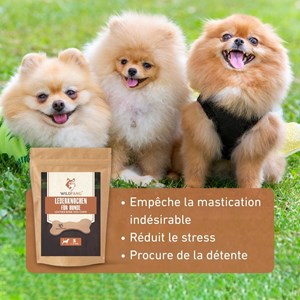 Wildfang - os en cuir - mâcher le cuir - 3 x s