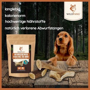 Wildfang - pack « articles préférés » - pour chiens jusqu'à 10 kg