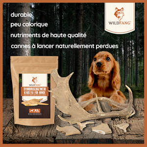 Wildfang - causer le bâton du cerf de jachère - 1 x l