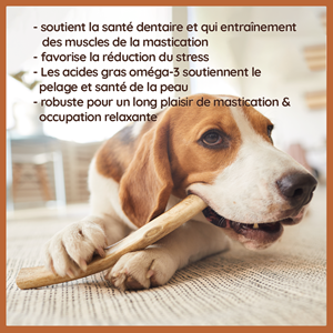 Wildfang - causer le bâton du cerf de jachère - 3 x l