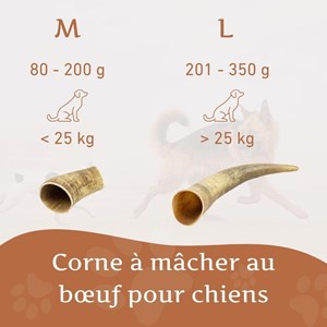 Wildfang - corne à mâcher de boeuf - 3 pieces - m