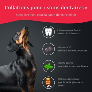 Wildfang - snacks pour soins dentaires - sans céréales - 3 x 70g