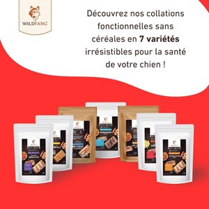 Wildfang - snacks pour soins dentaires - sans céréales - 3 x 70g