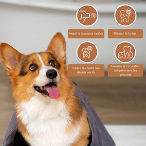 Wildfang® bâton à mâcher en bois d'olivier - taille s