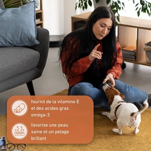 Wildfang® bâton à mâcher en bois d'olivier - taille s - 3 pieces