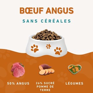 Wildfang® adult nourriture sèche au bœuf angus - sans céréales - 2 x 2 kg