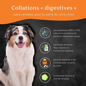 Wildfang - snacks digestifs - sans céréales - 1 piece (70g)