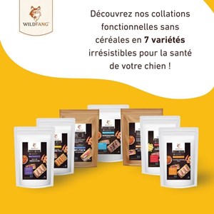 Wildfang - snacks pour la peau et le pelage - sans céréales - 1 piece (70g)