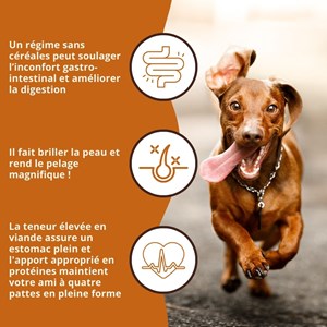 Wildfang aliments secs adultes avec poulet et herbes - grain-sans - 2 kg