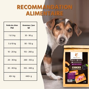 Wildfang aliments secs adultes avec lapins - sans céréales - 2 kg