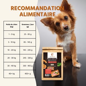 Wildfang aliments secs adultes avec poulet et herbes - grain-sans - 6 kg