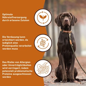 Wildfang pâtée poulet 70% - aliment complet 2400 g