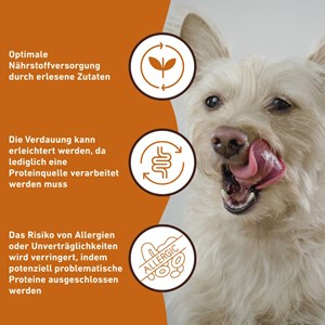 Wildfang pâtée premium agneau 6 x 800 g