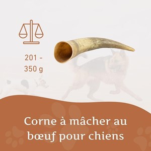 Wildfang - corne à mâcher de boeuf - 3 pieces -l